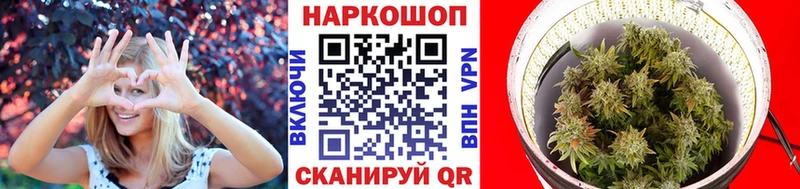 Где продают наркотики Ковров СК  Конопля  Кокаин  МЕФ  Гашиш 