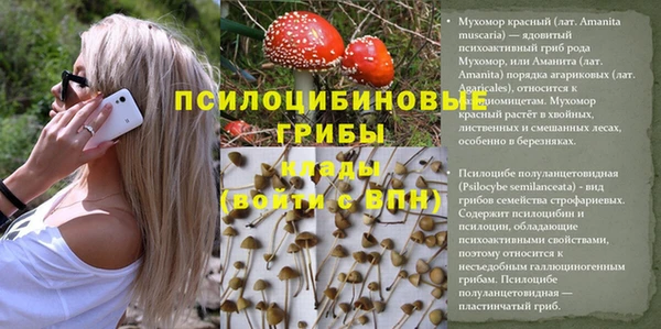 мескалин Липки