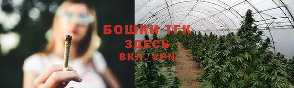 гашик Лихославль