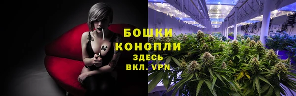 гашик Лихославль