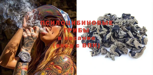 гашик Лихославль