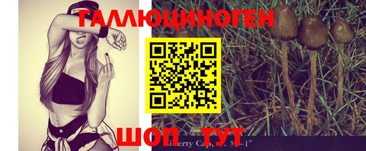 Псилоцибиновые грибы MAGIC MUSHROOMS Ковров