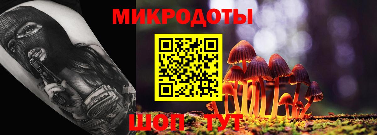 Галлюциногенные грибы прущие грибы  Вход с VPN  Ковров 
